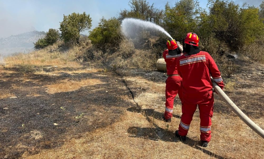 Rekord dëmesh nga zjarri, Sistemi Evropian: Në Shqipëri 46 mijë ha tokë të dëmtuara deri tani